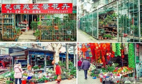 马鞍山十大花店排行榜最新(全国十大花店加盟)插图6