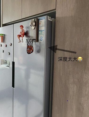 十大不合格冰箱排行榜(2023嵌入式冰箱第一名)插图1
