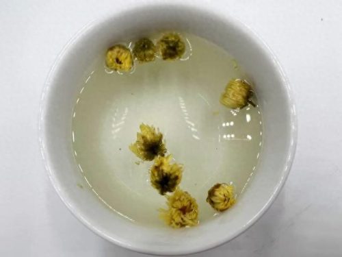 胎菊花品牌十大排行榜(胎菊对肝脏的危害)插图18