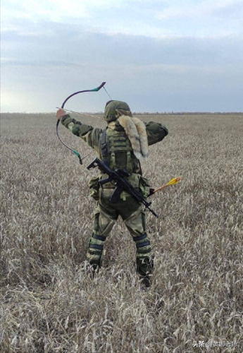 现代射手弓箭排名前十(最强弓箭达人冷血射手)插图1