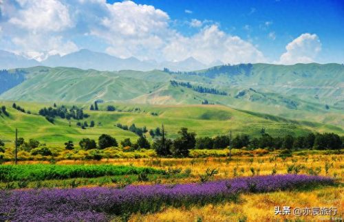 新疆十大网红景点排行榜(新疆旅游攻略必去十大景点)插图10