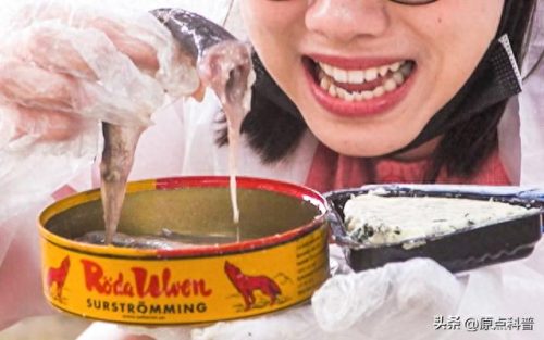 东北十大网红美食排行榜(被网红带火的十大美食)插图14