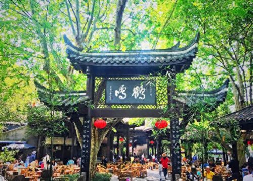 成都独立茶室排名前十(成都最隐蔽的茶室)插图6