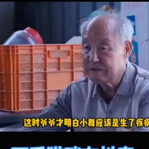 抖音十大名猫排行榜(抖音火的猫)插图4