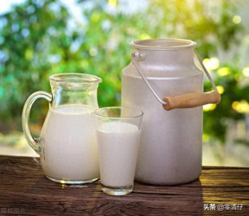 益生菌酸奶粉十大排行榜(真正的益生菌酸奶配料表)插图3