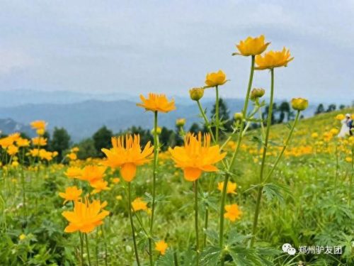 河南露营团队排名前十(河南领头雁户外露营)插图41