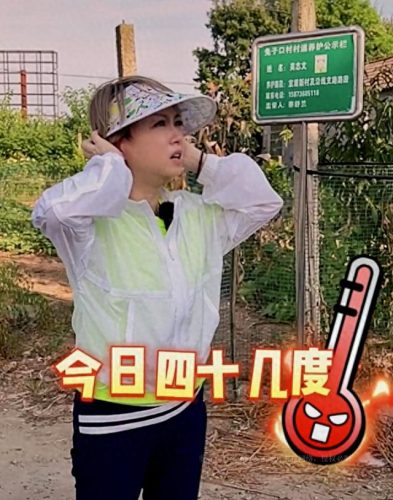 澧县摆摊高手排名前十(澧县摆摊网红一条街)插图1