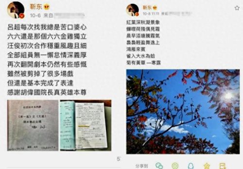 十大刷存在感的明星排行榜(以前被笑话的十大明星)插图2