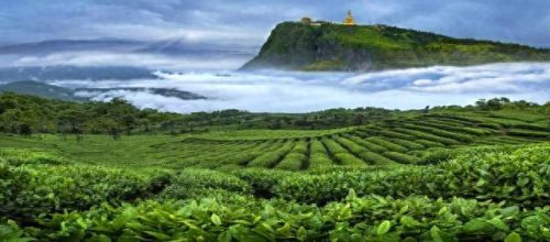成都独立茶室排名前十(成都最隐蔽的茶室)插图21