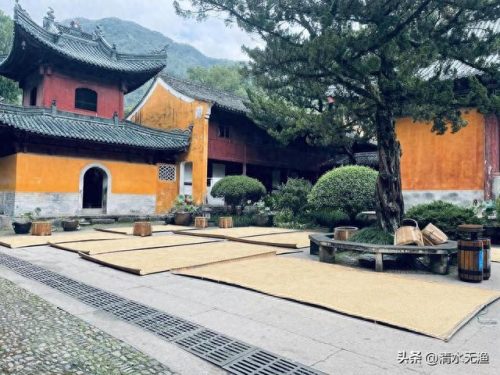十大不值钱景点排行榜(南澳岛十大必去景点)插图5