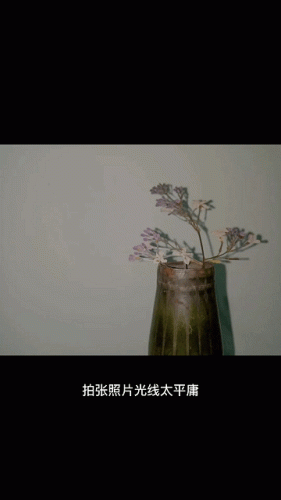 十大修图软件排行榜snapseed(snapseed人像修图炫酷)插图18