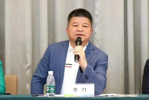 湖南总裁收入排名前十(湖南区域海螺总裁)插图4