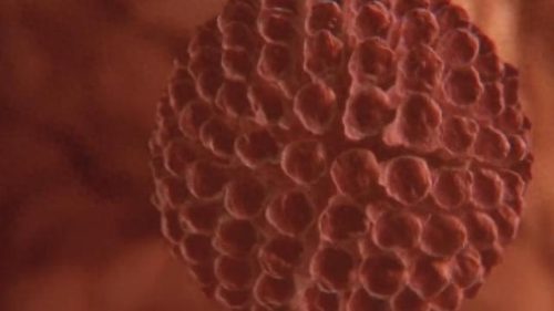 十大新型冠状病毒排行榜(阿比多尔片对新型冠状病毒有效吗)插图10