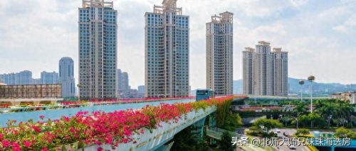 湾仔口岸楼盘排名前十(湾仔口岸最新房价)插图