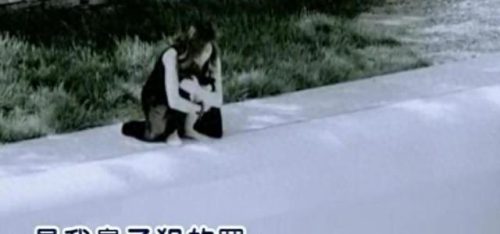 十大火爆网络歌曲排行榜(最红网络歌曲50首)插图7