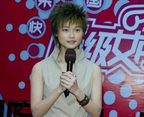 超女十大美女排行榜(中国女神排行榜)插图1