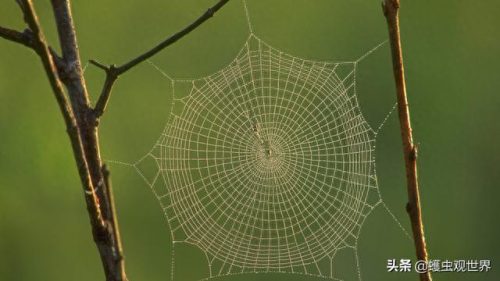 最硬的物质十大排行榜(十大超级物质)插图8
