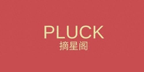 小红书十大网红排行榜(中国十大顶级网红)插图4