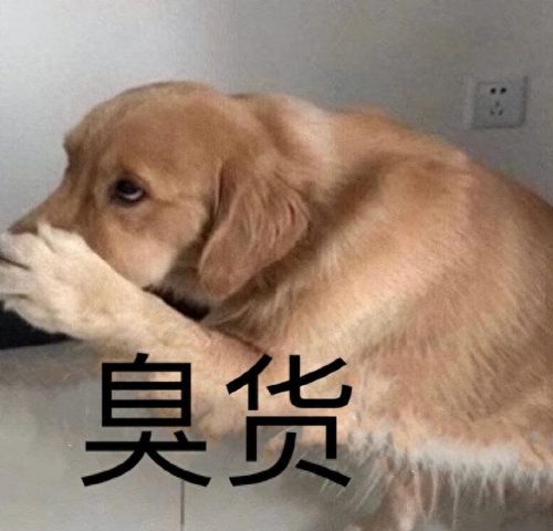 排名前十的狗洗澡(狗活泼排行榜)插图