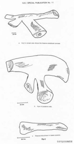 原始恐龙力量排名前十(最强恐龙力量)插图15