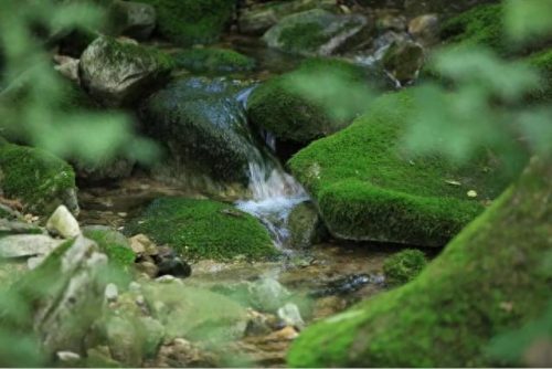 秦岭公园面积排名前十(西安秦岭三大公园)插图14