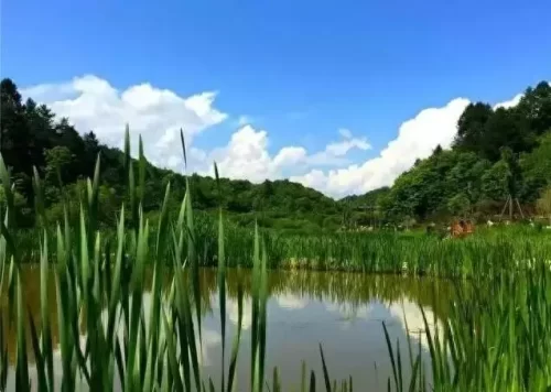 安康避暑酒店排名前十(安康明江酒店洗浴咋样)插图29