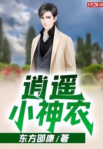 乡村小说十大排行榜免费(乡村小说前10名排行榜)插图5