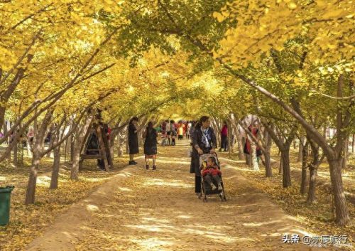浙江十大好玩的景点排行榜(浙江冷门却超美的景点)插图19