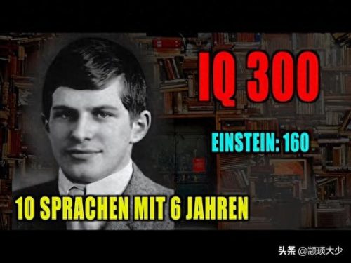 十大智商排行榜完整版(人的十大智商排名表)插图