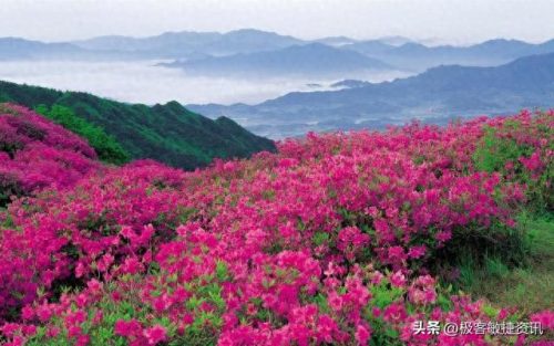 亚洲印度景点排名前十(印度的著名景点英文)插图5