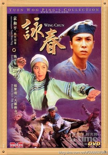 十大功夫片排行榜 视频(电影功夫片免费全部)插图1