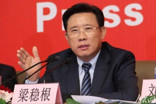 湖南总裁收入排名前十(湖南区域海螺总裁)插图8