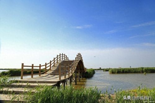 滨州休闲景点排名前十(滨州十大网红景点)插图7