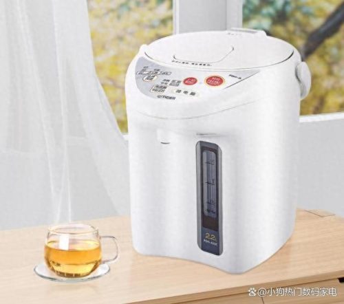 排名前十热水瓶(家用热水瓶排行榜前十名)插图5