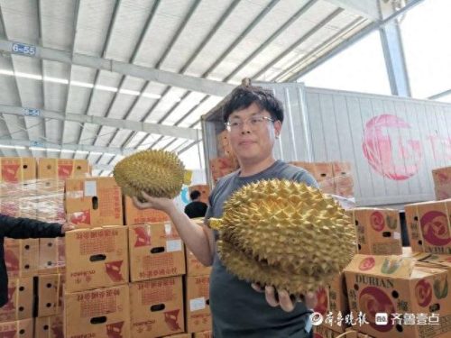 榴莲销量城市排名前十(最近榴莲销量)插图