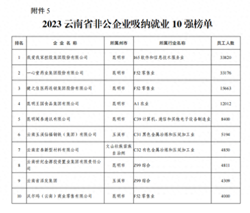 云南实体工厂排名前十(云南滇橄榄粉工厂)插图10