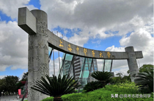 中医重点院校排名前十(上海最好中医医院排名)插图