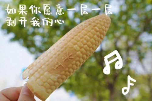 平价商用炼乳排名前十(炼乳与奶粉哪个好)插图9
