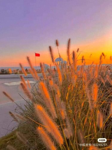 青岛日落景点排名前十(青岛适合看日落的三个最佳地方)插图9