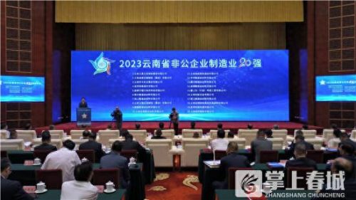 云南实体工厂排名前十(云南滇橄榄粉工厂)插图