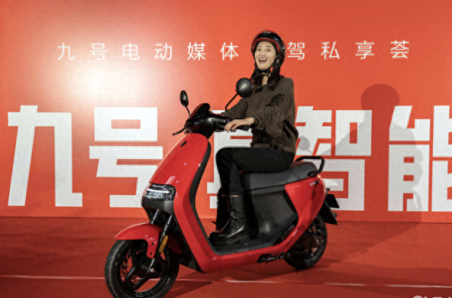 高速电动车十大品牌排行榜(电动车十大品牌排名榜图片大全)插图4