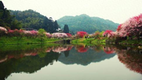 十大建设基地排行榜最新(中国十大无纺布生产基地)插图7