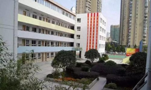 温州小学教育排名前十(温州好的小学排名一览表)插图12