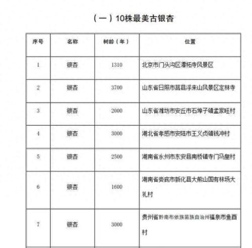 日照树木品种排名前十(山东可以种植的耐阴树木)插图
