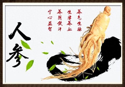 补气血最贵药材排行榜十大(女人气血不足用什么药材泡酒)插图1