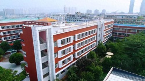 温州小学教育排名前十(温州好的小学排名一览表)插图27