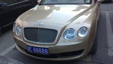 丽水十大豪车排行榜图片(丽水豪车二手车司法鉴定价格)插图8