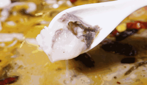 云南十大鱼菜品牌排行榜(云南十大菌汤品牌)插图9