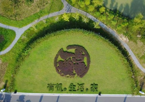 蔬菜公司十大排行榜图片(蔬菜配送公司联系方式)插图