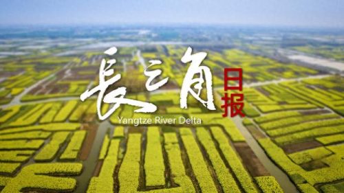 浙江字体公司排名前十(浙江互联网公司排名)插图